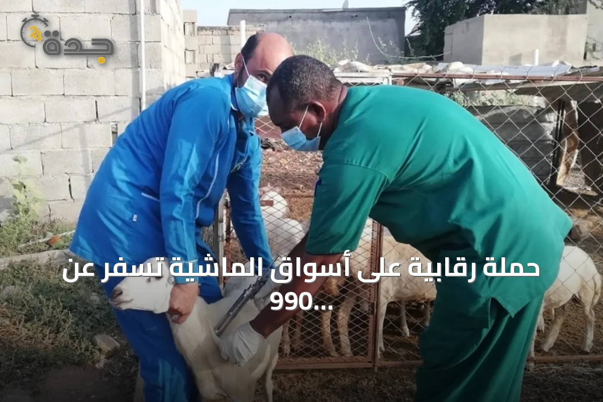 حملة رقابية على أسواق الماشية تسفر عن 990 إنذاراً و543 مخالفة