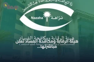 هيئة الرقابة ومكافحة الفساد تعلن مباشرتها عدداً من القضايا الجنائية المتعلق بالرشوة والفساد 3 article 115034