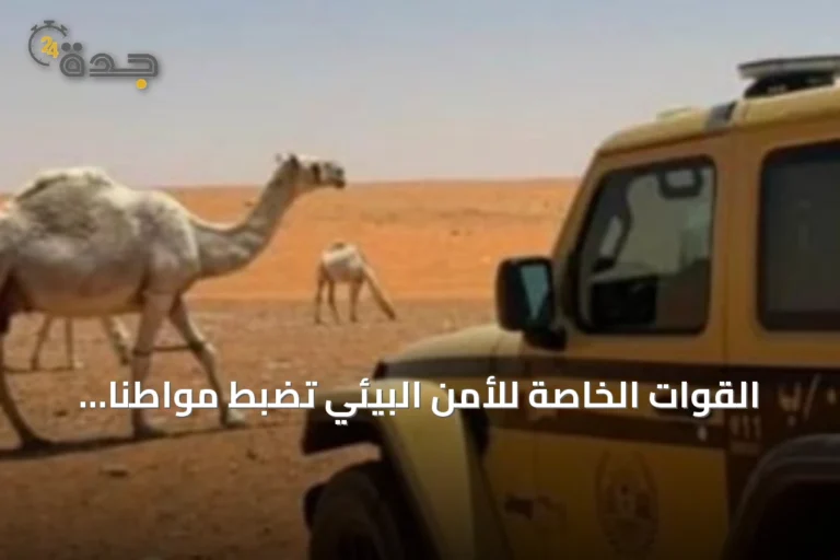 القوات الخاصة للأمن البيئي تضبط مواطنًا يرعى 20 جمله في محمية الإمام تركي بن Abdullah الملكية