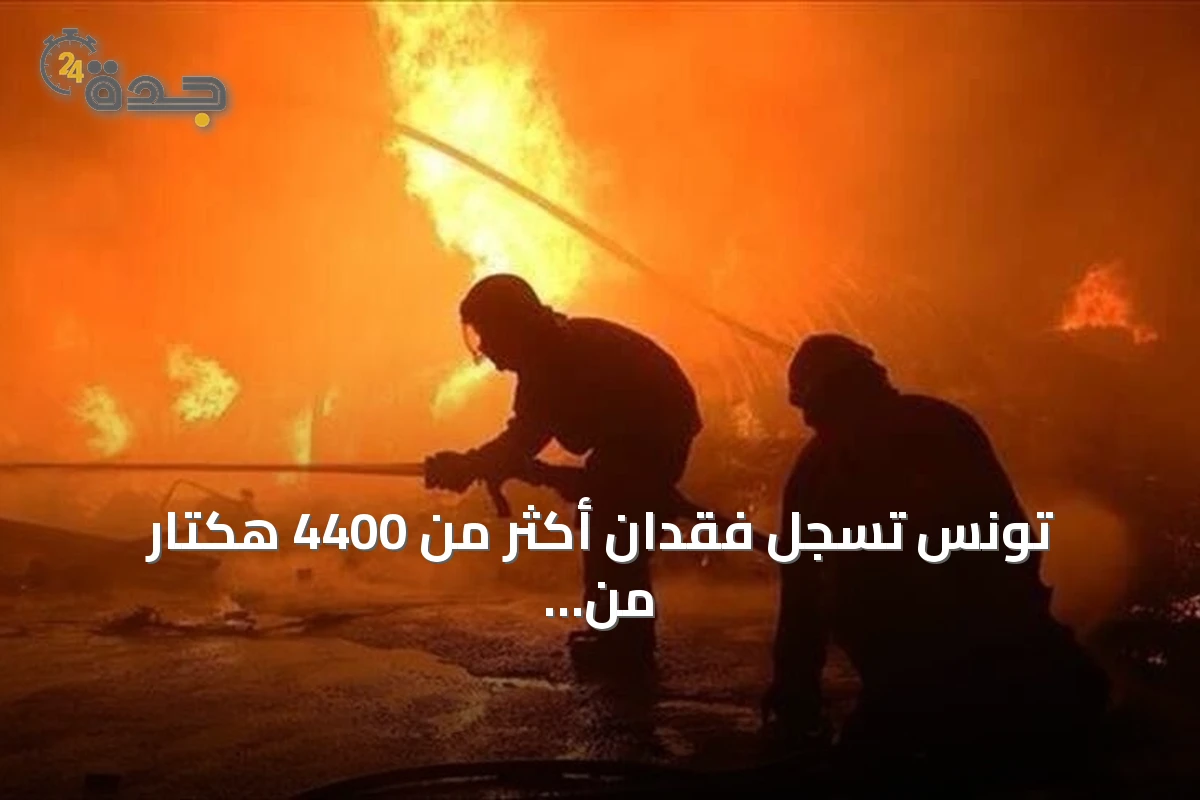 تونس تسجل فقدان أكثر من 4400 هكتار من الغابات نتيجة الحرائق منذ مايو