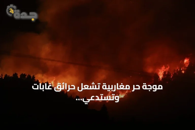 موجة حر مغاربية تشعل حرائق غابات وتستدعي تدابير عاجلة
