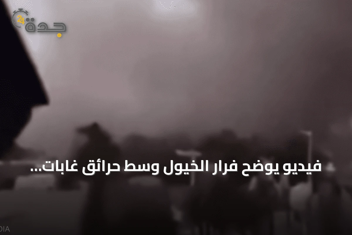 فيديو يوضح فرار الخيول وسط حرائق غابات جنوب غرب فرنسا