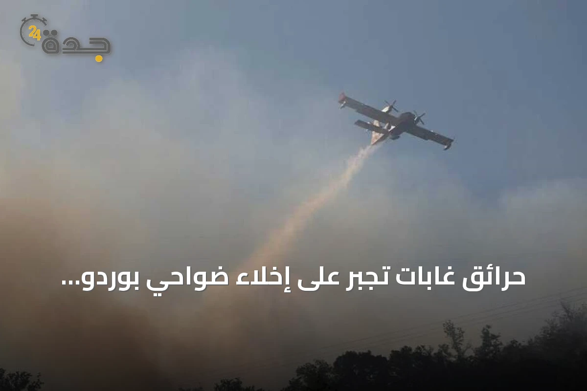 حرائق غابات تجبر على إخلاء ضواحي بوردو وتوسع تأثيرها إلى إسبانيا