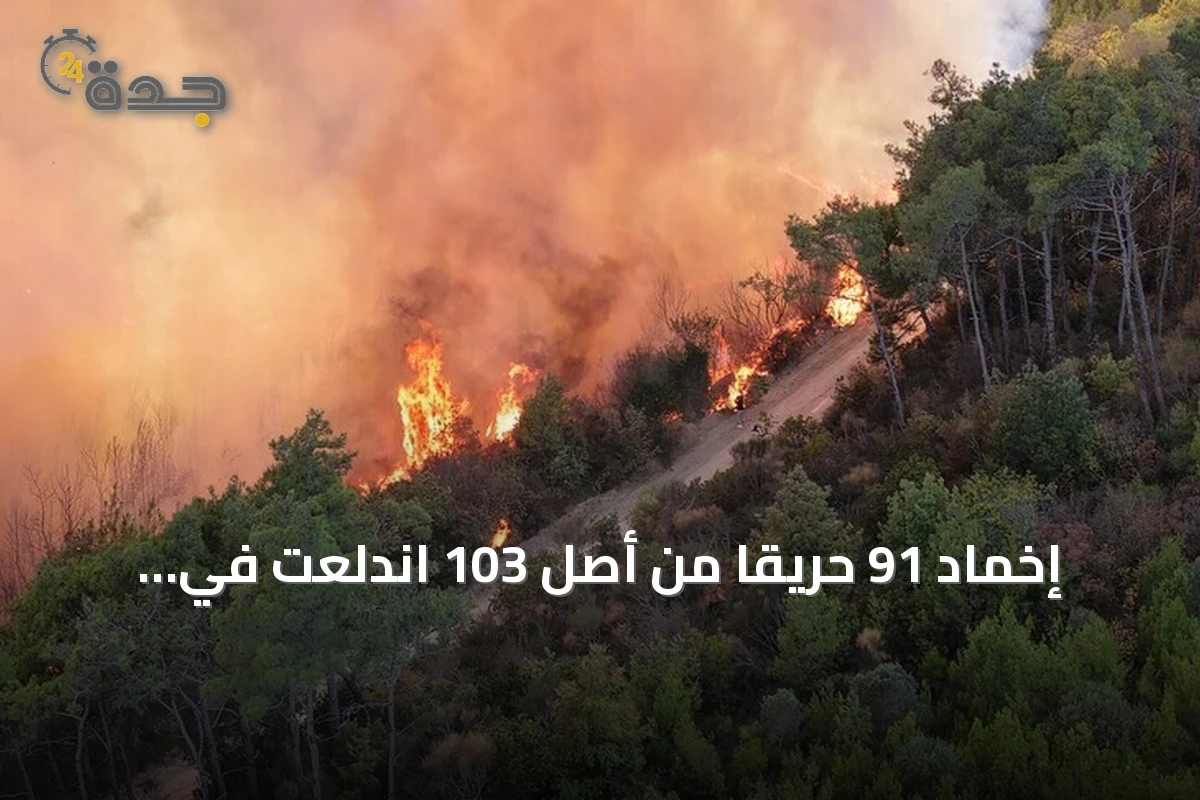 إخماد 91 حريقاً من أصل 103 اندلعت في غابات وأراضٍ زراعية بالجزائر خلال 24 ساعة