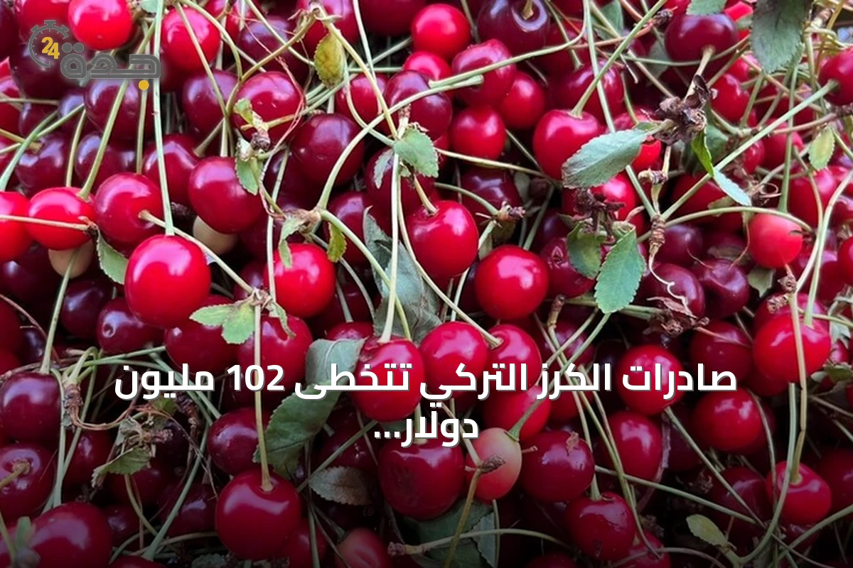 صادرات الكرز التركي تتخطى 102 مليون دولار في ستة أشهر مع ارتفاع ملحوظ للإنتاج