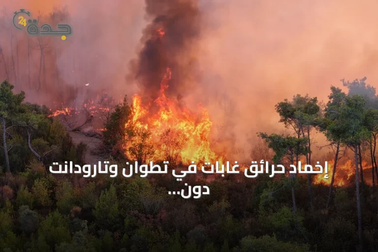 إخماد حرائق غابات في تطوان وتارودانت دون خسائر بشرية