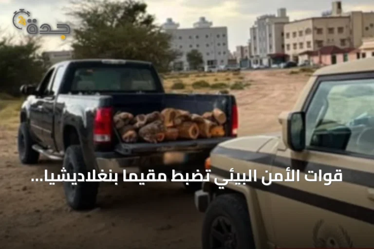 قوات الأمن البيئي تضبط مقيمًا بنغلاديشيًا لنقل حطب محلي في عسير