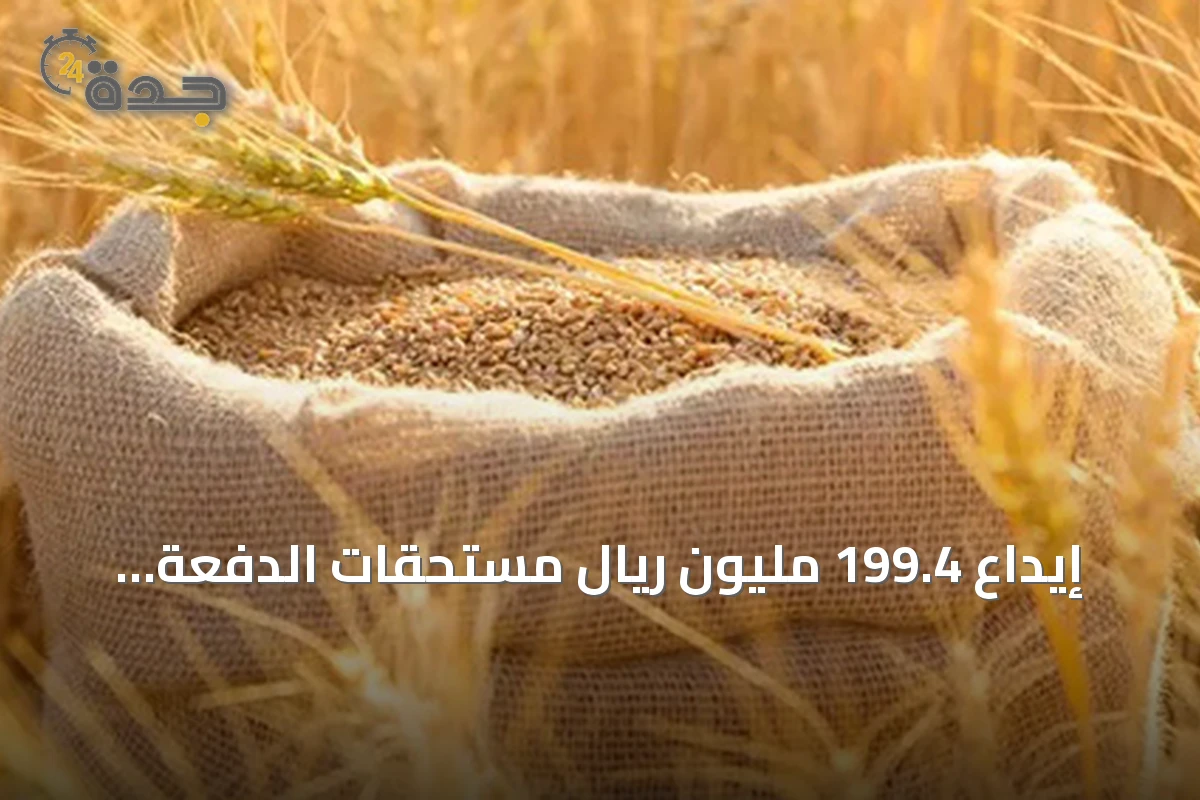 إيداع 199.4 مليون ريال مستحقات الدفعة الأولى لمزارعي القمح المحلي