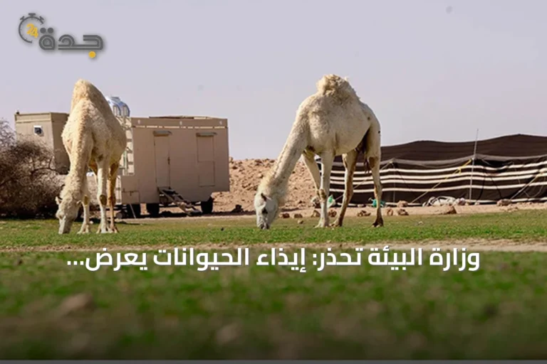وزارة البيئة تحذر: إيذاء الحيوانات يعرض للسجن خمس سنوات وغرامة عشرة ملايين