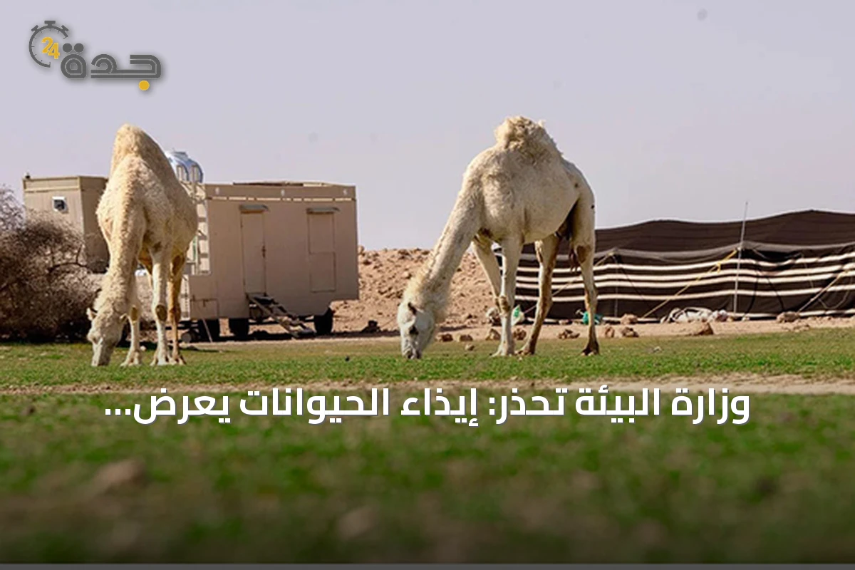 وزارة البيئة تحذر: إيذاء الحيوانات يعرض للسجن خمس سنوات وغرامة عشرة ملايين