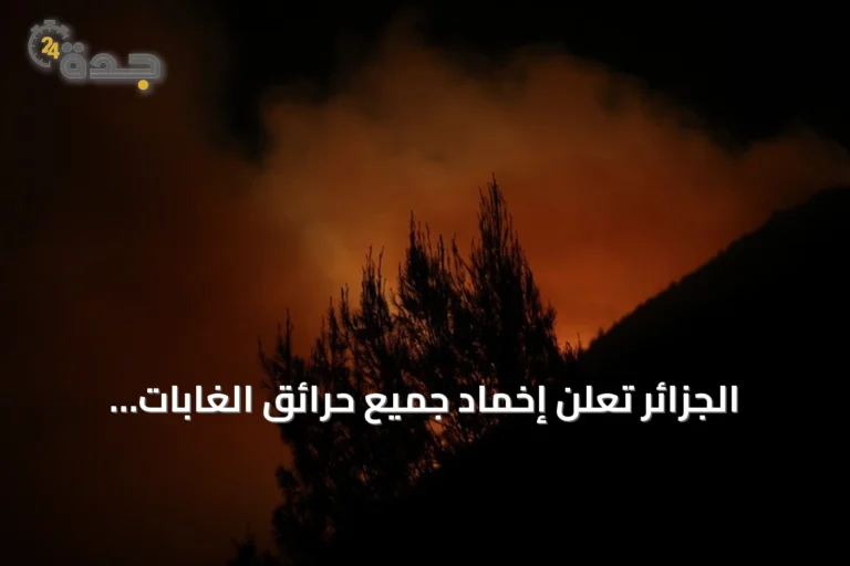 الجزائر تعلن إخماد جميع حرائق الغابات وتستعد لتدخل فوري عند أي تجدد