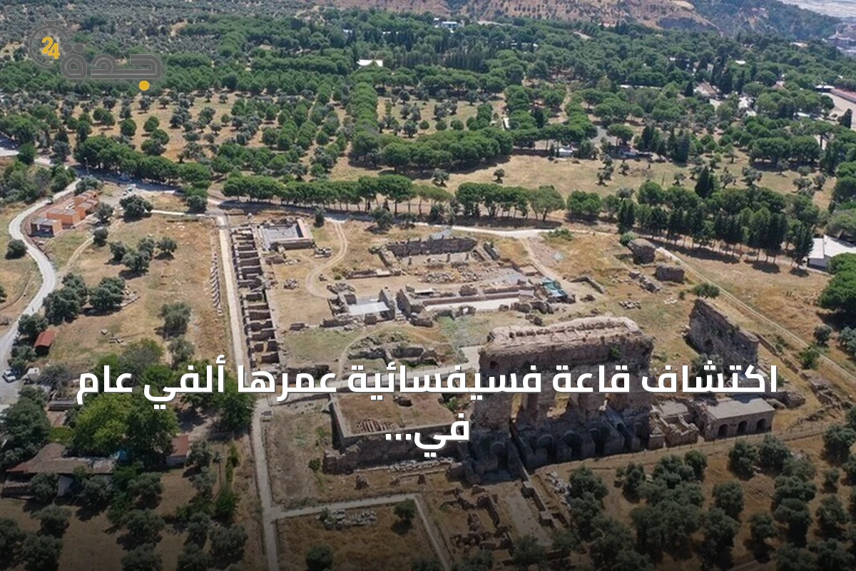 اكتشاف قاعة فسيفسائية عمرها ألفي عام في مدينة تراليس الأثرية بآيدن