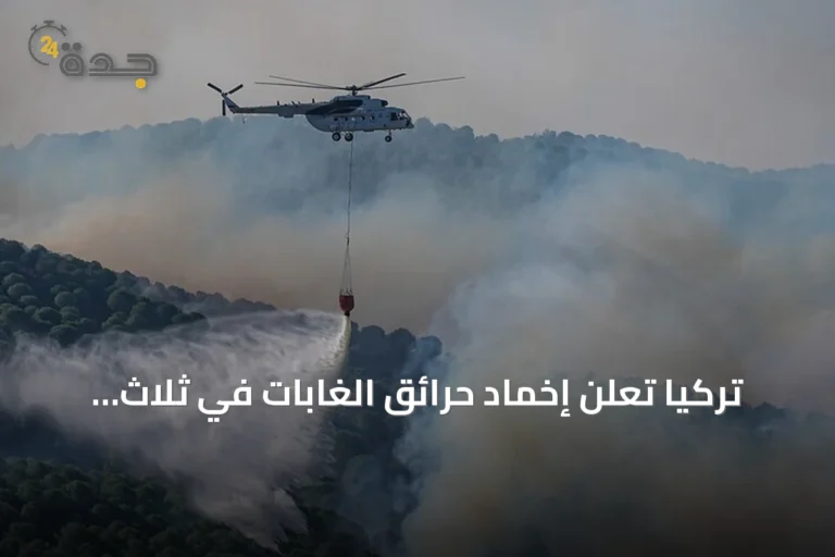 تركيا تعلن إخماد حرائق الغابات في ثلاث ولايات بشكل كامل