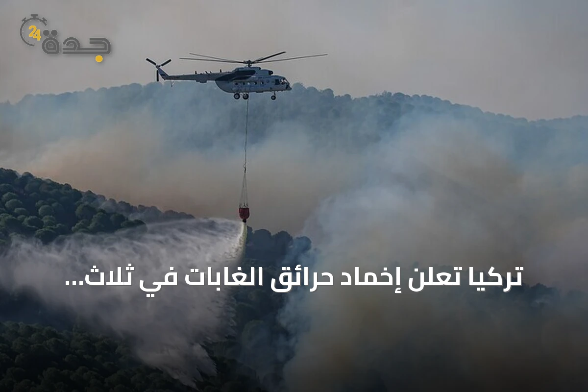 تركيا تعلن إخماد حرائق الغابات في ثلاث ولايات بشكل كامل