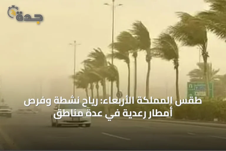 طقس المملكة الأربعاء: رياح نشطة وفرص أمطار رعدية في عدة مناطق