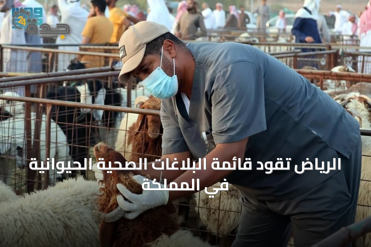 الرياض تقود قائمة البلاغات الصحية الحيوانية في المملكة