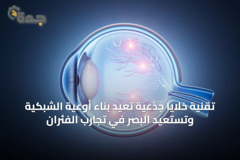 تقنية خلايا جذعية تُعيد بناء أوعية الشبكية وتستعيد البصر في تجارب الفئران