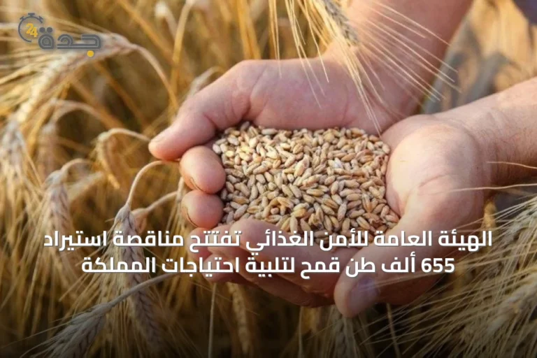 الهيئة العامة للأمن الغذائي تفتتح مناقصة استيراد 655 ألف طن قمح لتلبية احتياجات المملكة