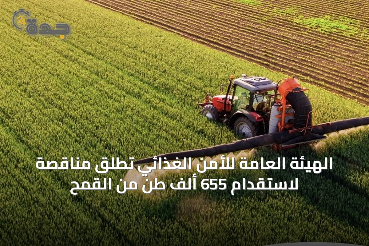 الهيئة العامة للأمن الغذائي تطلق مناقصة لاستقدام 655 ألف طن من القمح