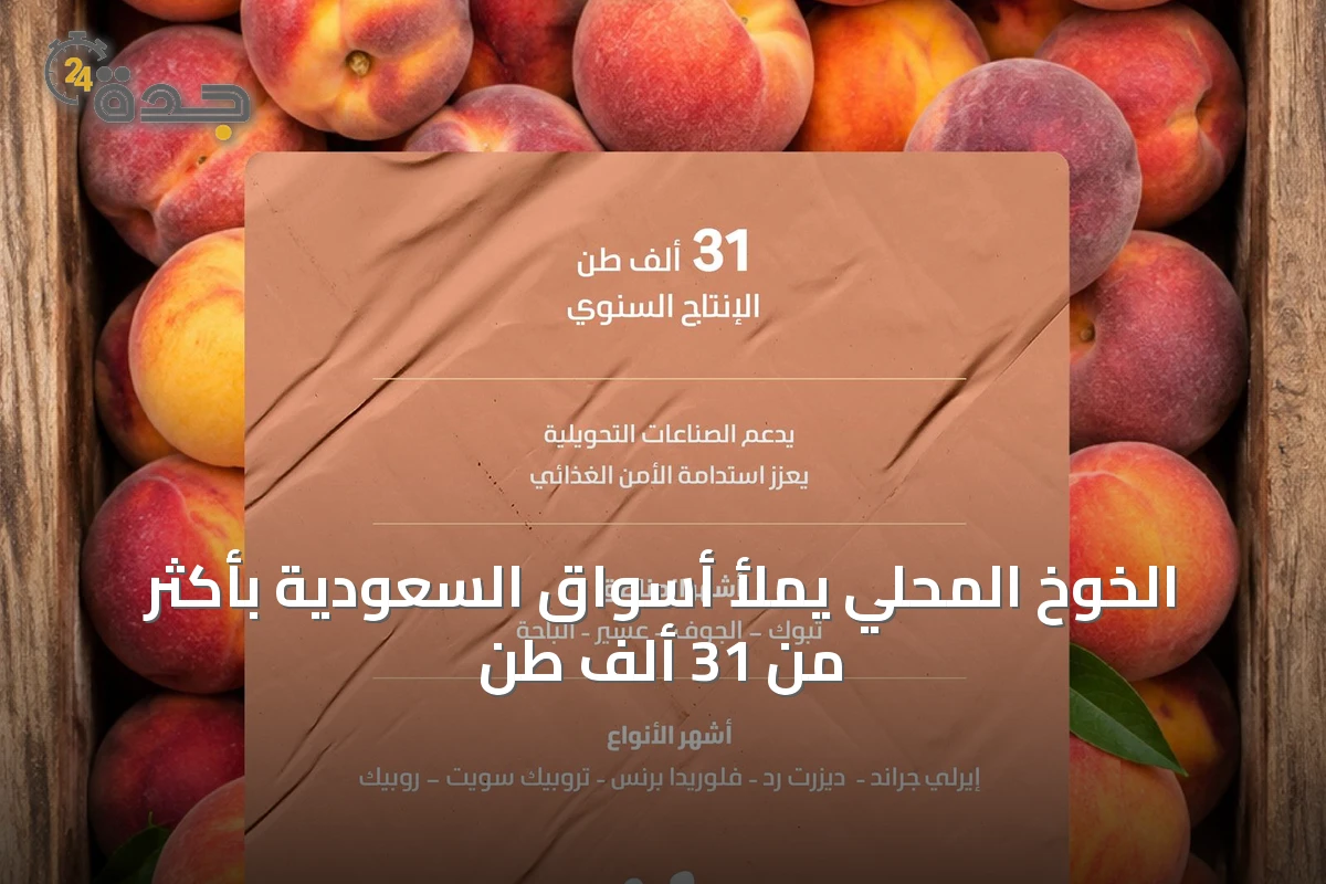 الخوخ المحلي يملأ أسواق السعودية بأكثر من 31 ألف طن