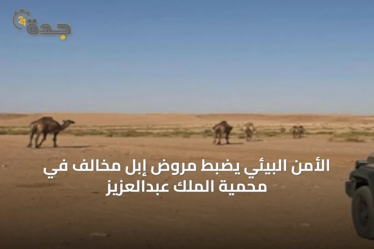 الأمن البيئي يضبط مروّض إبل مخالف في محمية الملك عبدالعزيز