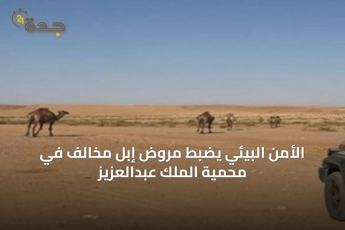 الأمن البيئي يضبط مروّض إبل مخالف في محمية الملك عبدالعزيز