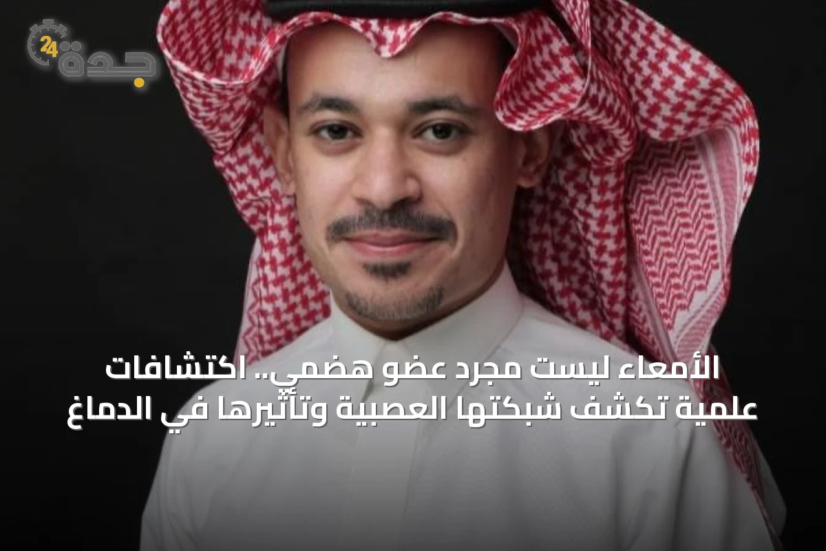 الأمعاء ليست مجرد عضو هضمي.. اكتشافات علمية تكشف شبكتها العصبية وتأثيرها في الدماغ