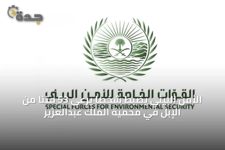 الأمن البيئي يضبط شخصًا يرعى 53 متنًا من الإبل في محمية الملك عبدالعزيز