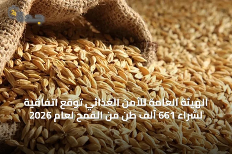 الهيئة العامة للأمن الغذائي تُوقع اتفاقية لشراء 661 ألف طن من القمح لعام 2026