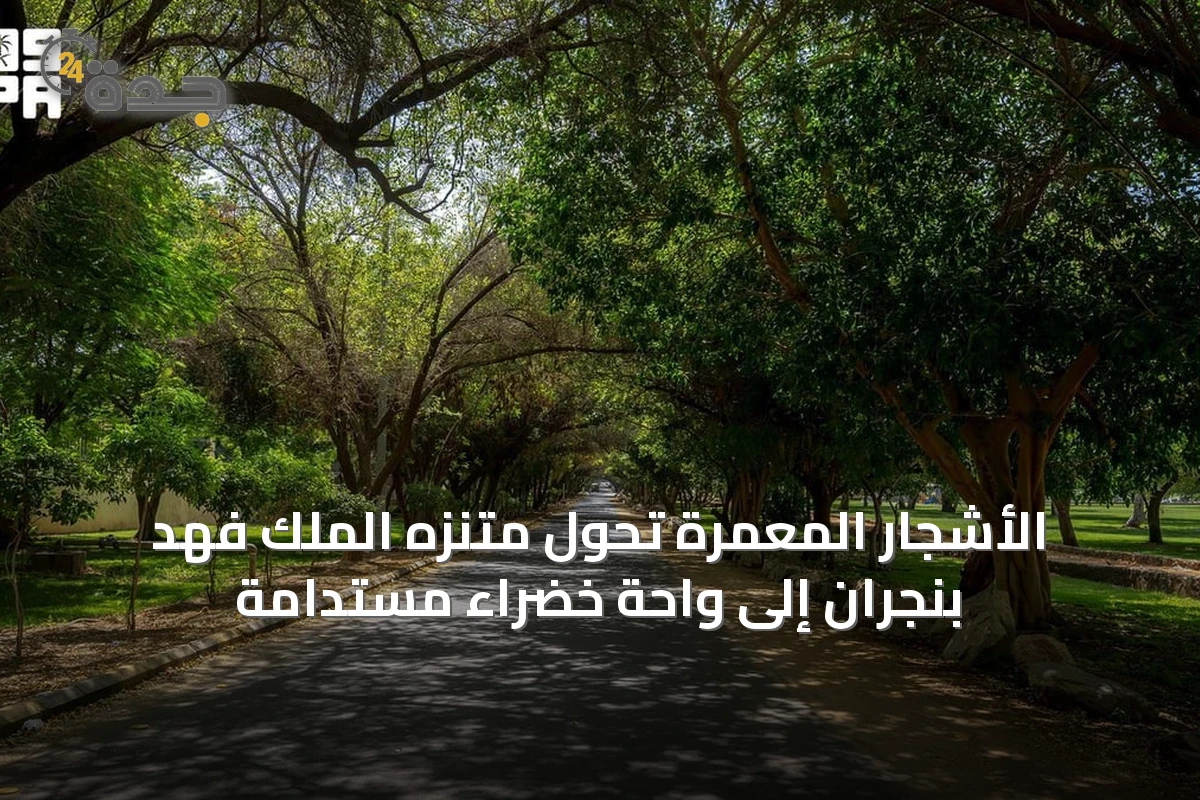 الأشجار المعمرة تحول متنزه الملك فهد بنجران إلى واحة خضراء مستدامة