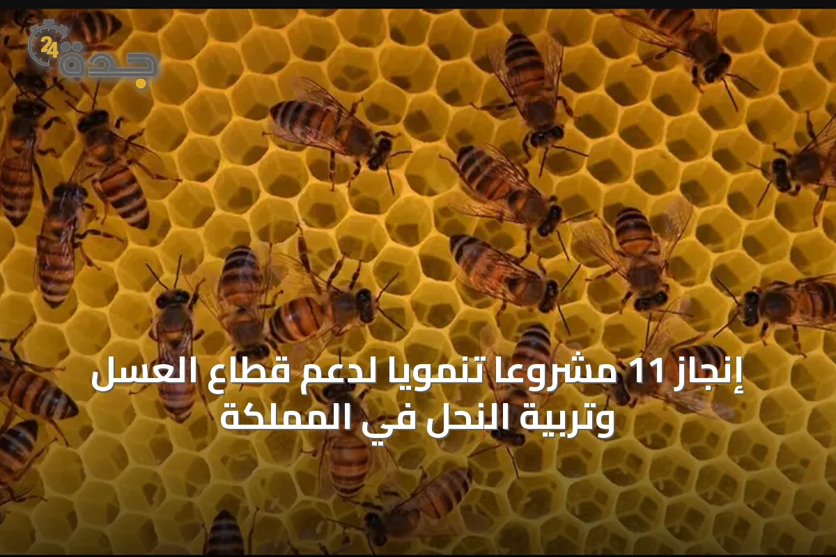 إنجاز 11 مشروعاً تنموياً لدعم قطاع العسل وتربية النحل في المملكة