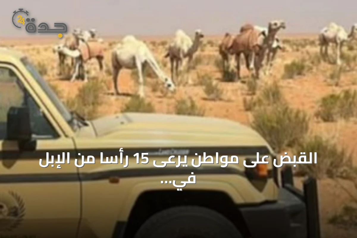 القبض على مواطن يرعى 15 رأساً من الإبل في محمية الإمام تركي بن عبدالله التي هي ملكية