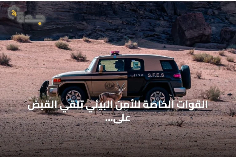 القوات الخاصة للأمن البيئي تلقي القبض على متخيم غير مرخص في عسير