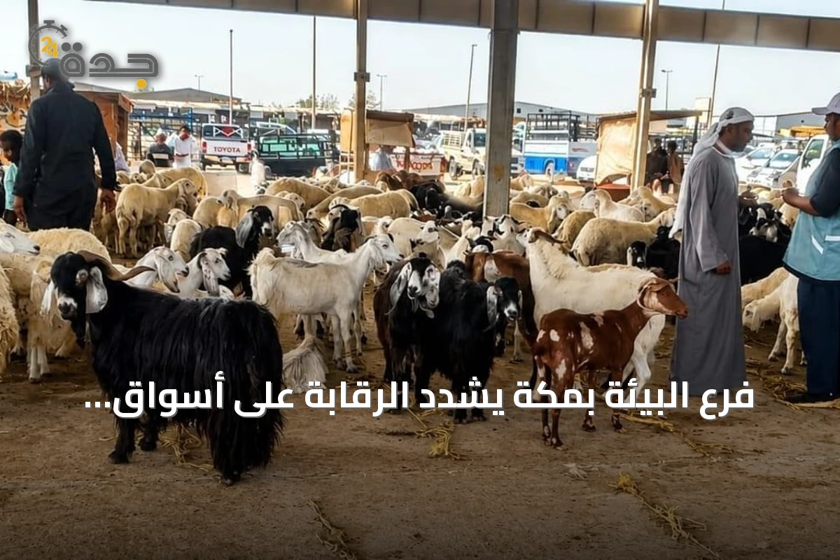 فرع البيئة بمكة يشدد الرقابة على أسواق المواشي لضمان السلامة الغذائية