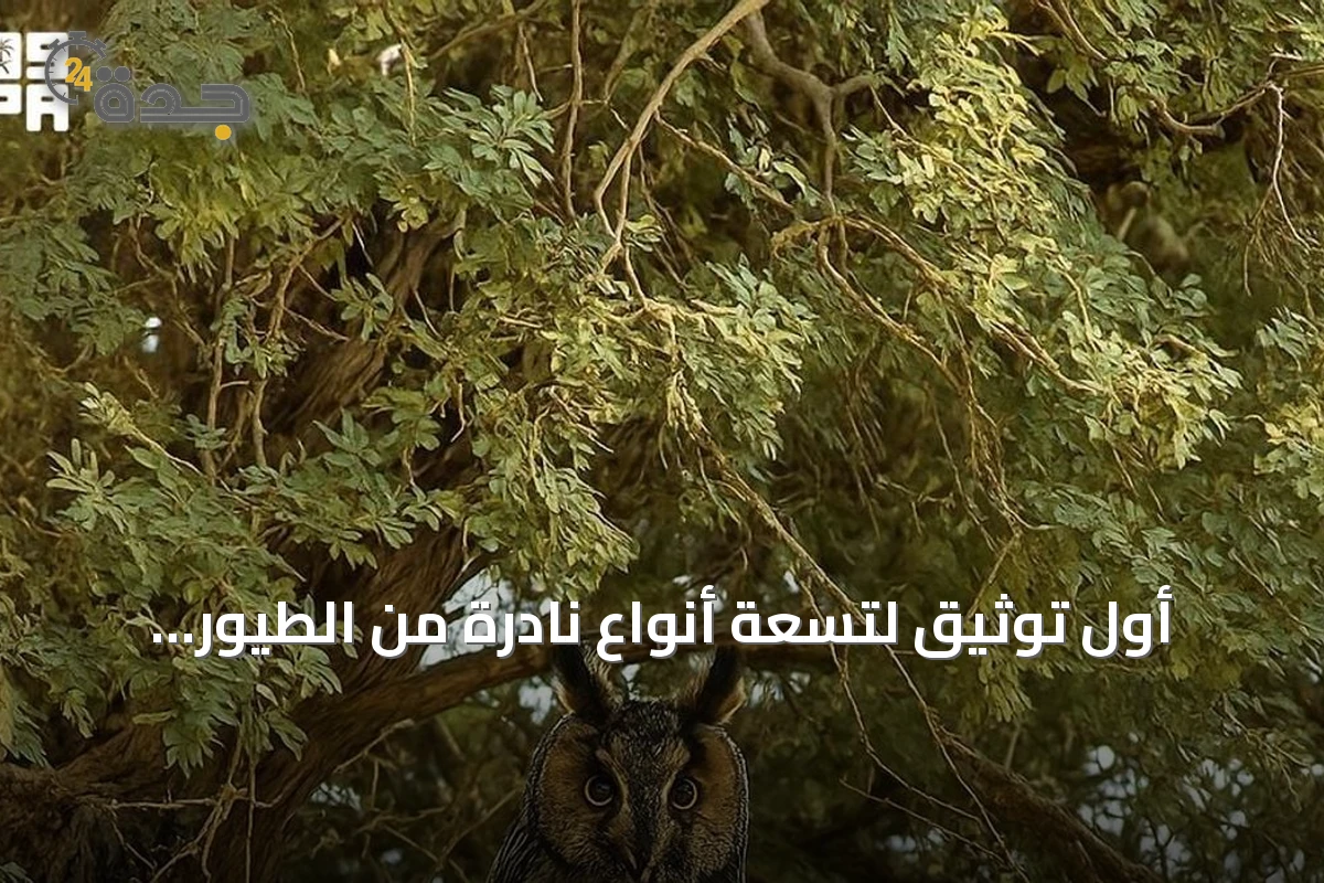 أول توثيق لتسعة أنواع نادرة من الطيور المهاجرة داخل محمية الملك عبدالعزيز الملكية
