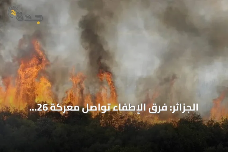 الجزائر: فرق الإطفاء تواصل معركة 26 حريقاً في 15 ولاية
