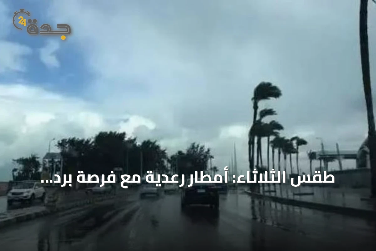 طقس الثلاثاء: أمطار رعدية مع فرصة برد ورياح نشطة وارتفاع حرارة في مناطق جنوب وغرب المملكة