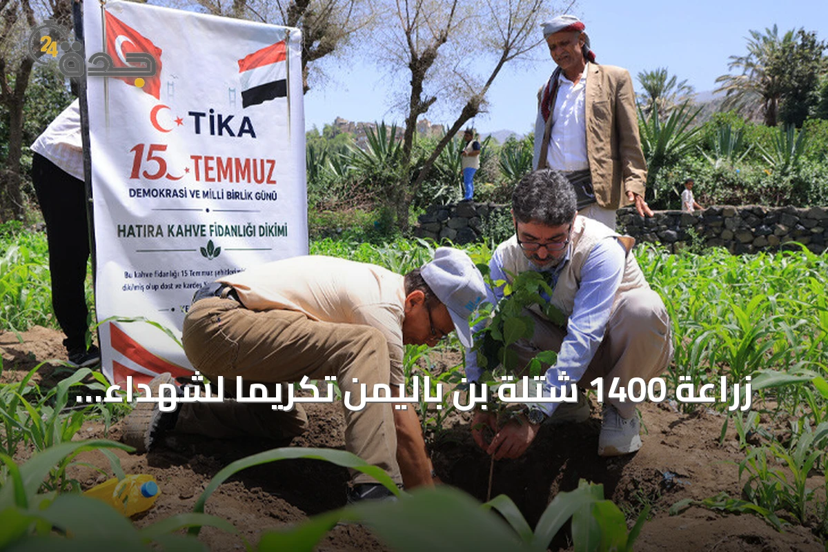 زراعة 1400 شتلة بن باليمن تكريماً لشهداء محاولة الانقلاب التركية