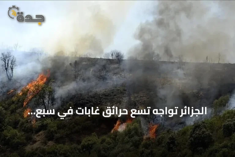 الجزائر تواجه تسع حرائق غابات في سبع ولايات وتعبئ إمكاناتها لإخمادها