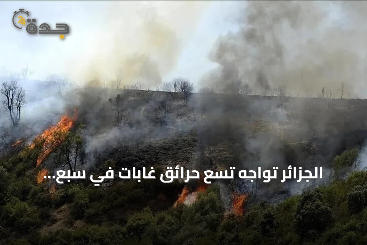 الجزائر تواجه تسع حرائق غابات في سبع ولايات وتعبئ إمكاناتها لإخمادها