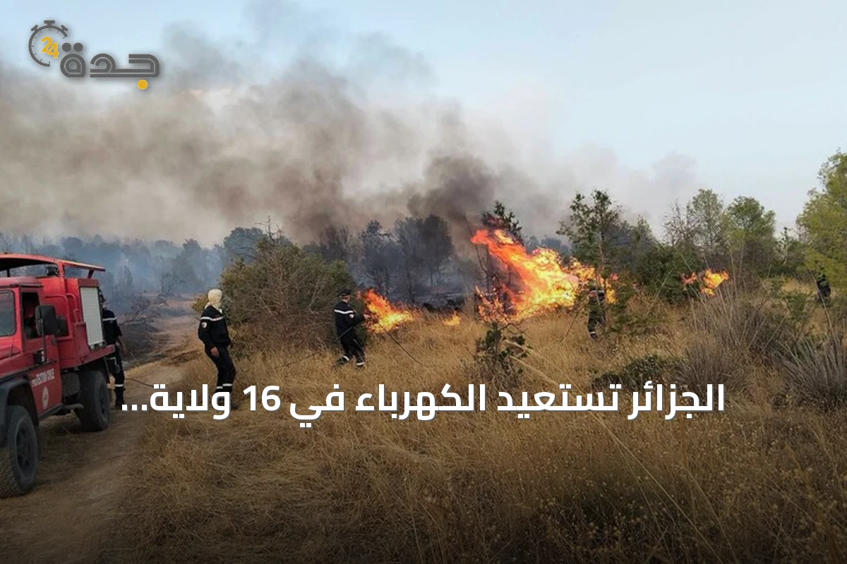 الجزائر تستعيد الكهرباء في 16 ولاية وتواصل مكافحة 19 حريقا amid موجة حر شديدة