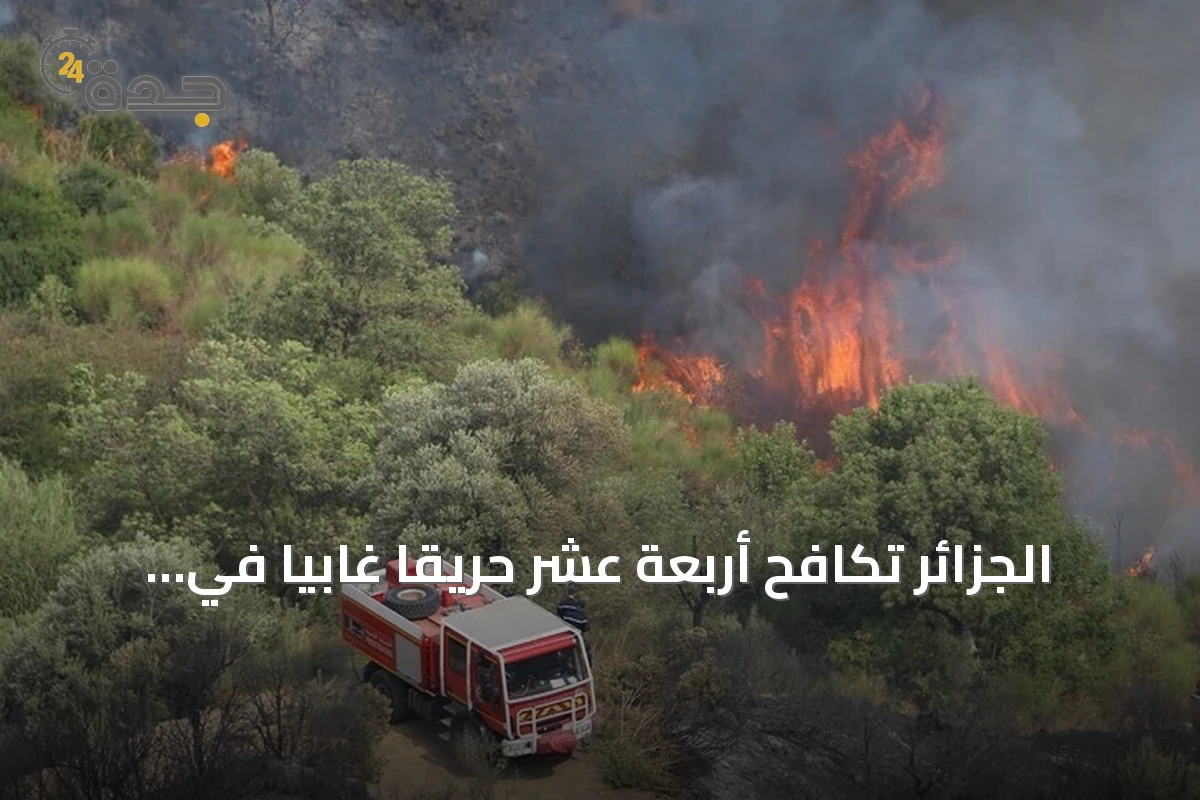 الجزائر تكافح أربعة عشر حريقًا غابيًا في اثنتي عشرة ولاية بينما تقترب الحرارة من 48 درجة