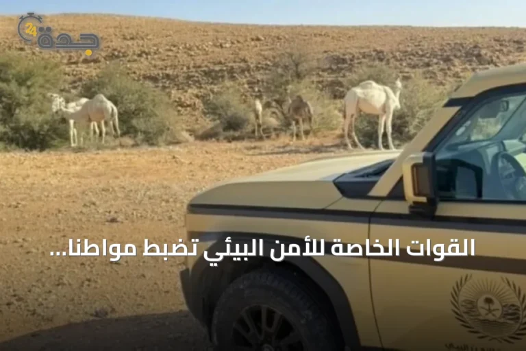 القوات الخاصة للأمن البيئي تضبط مواطنًا نقل حطبًا محليًا في المدينة المنورة