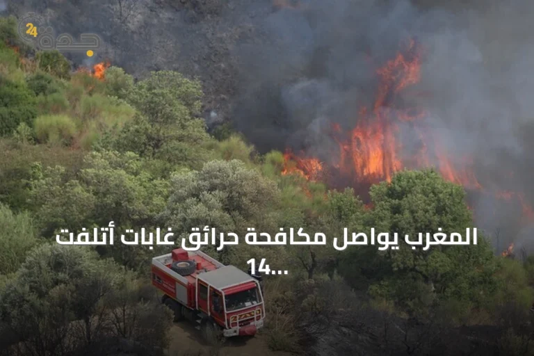 المغرب يواصل مكافحة حرائق غابات أتلفت 14 هكتاراً بالحوز وتارودانت