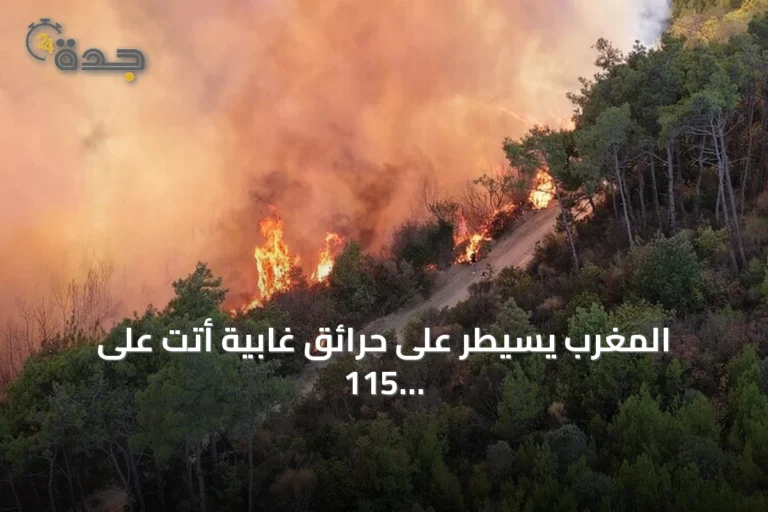 المغرب يسيطر على حرائق غابية أتت على 115 هكتاراً في الحوز وتارودانت