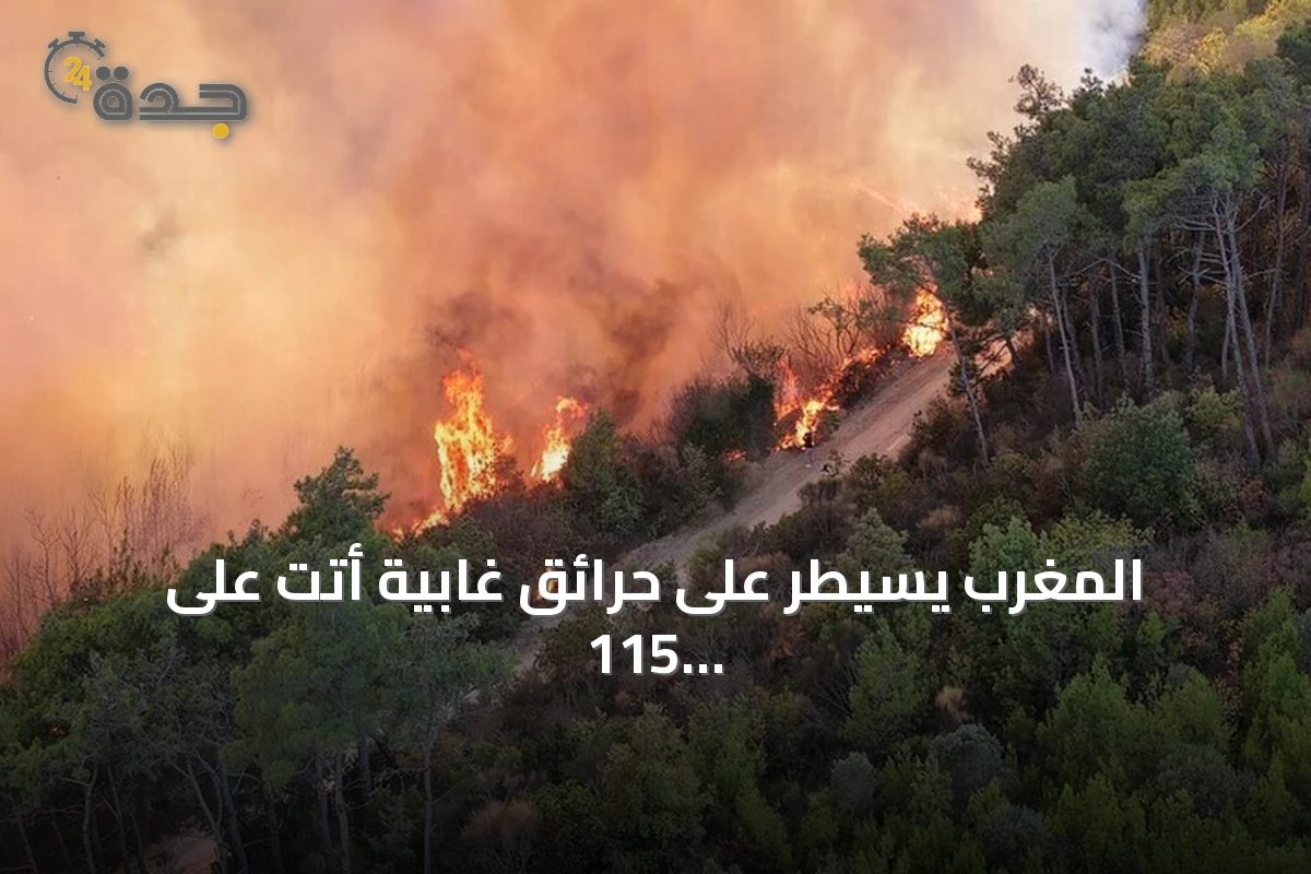 المغرب يسيطر على حرائق غابية أتت على 115 هكتاراً في الحوز وتارودانت