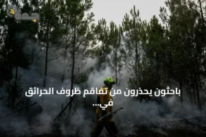 باحثون يحذرون من تفاقم ظروف الحرائق في إسبانيا وفرنسا بفعل التغير المناخي 3 article 145448