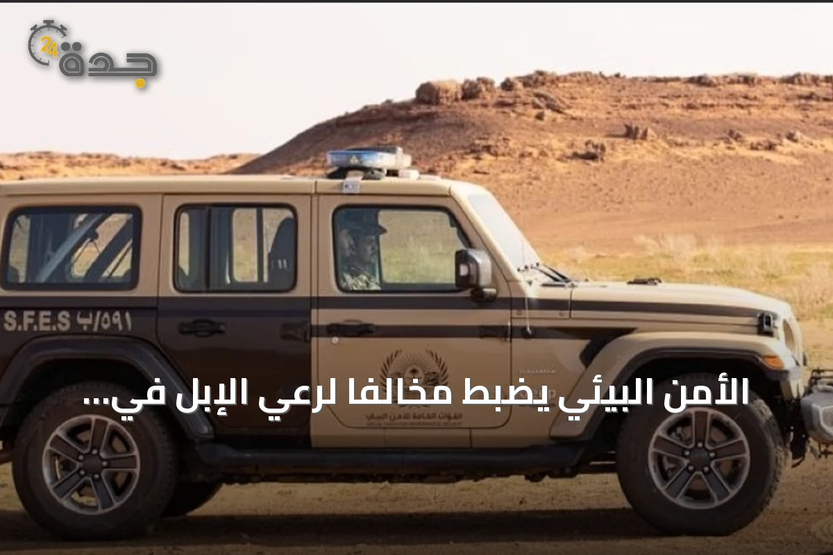 الأمن البيئي يضبط مخالفًا لرعي الإبل في محمية الملك عبدالعزيز