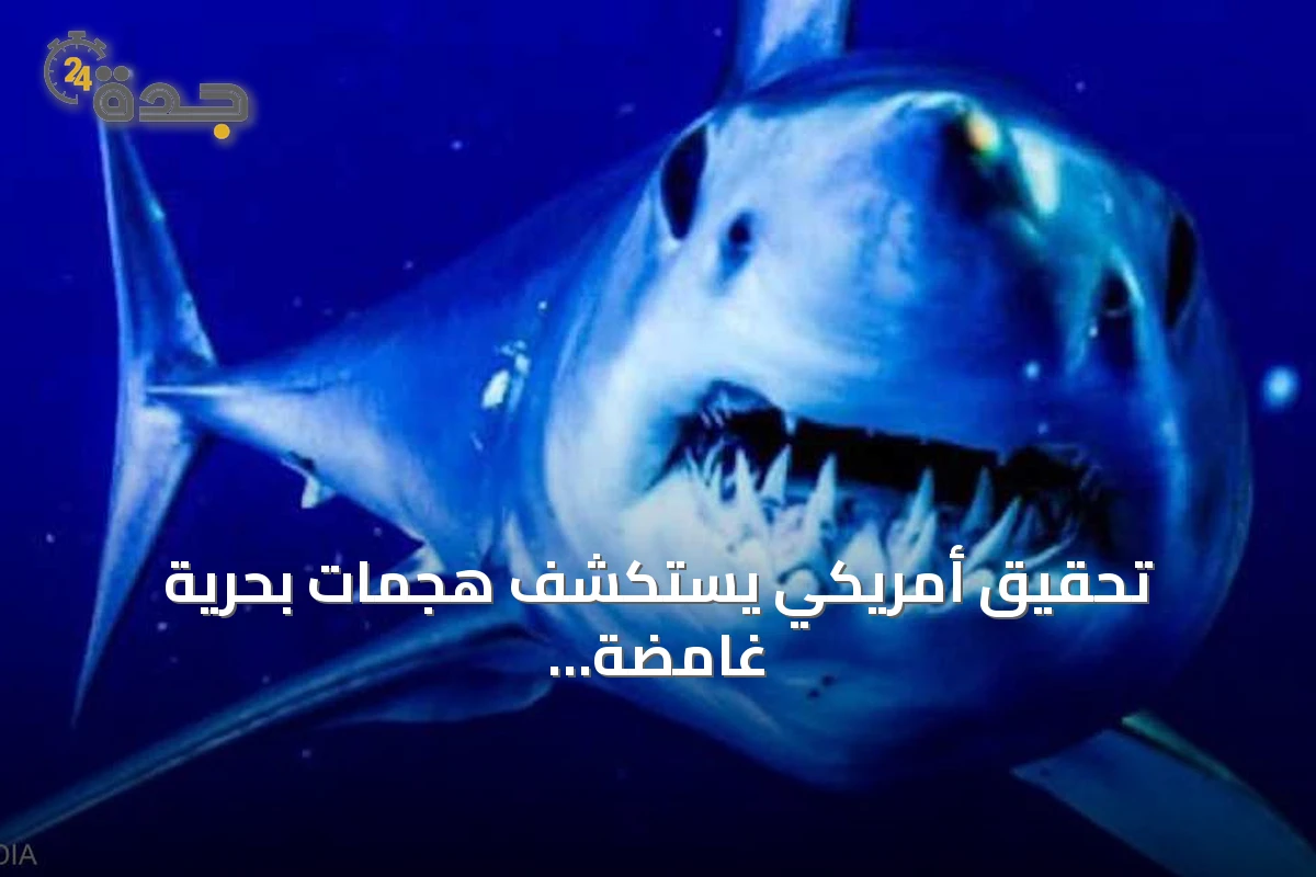 تحقيق أمريكي يستكشف هجمات بحرية غامضة ويبحث عن قرش عملاق محتمل قبالة نيويورك