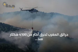 حرائق المغرب تحرق أكثر من 4100 هكتار منذ بداية 2026 3 article 149444